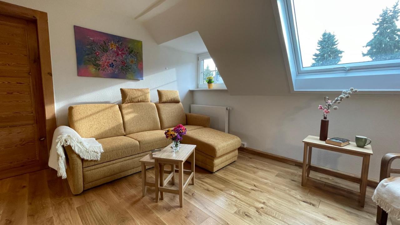 Carolinga Lägenhet Dresden Exteriör bild